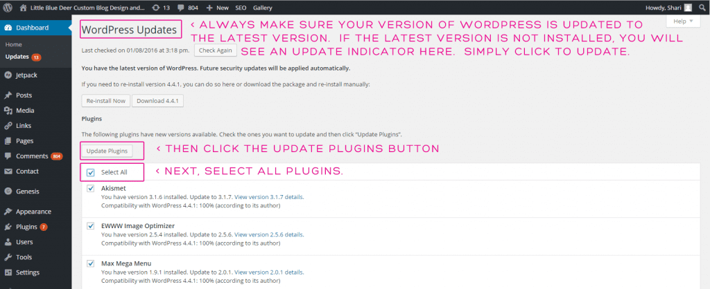 Custom Blog Design Tips – WordPress and Plugin Updates – Little Blue ...