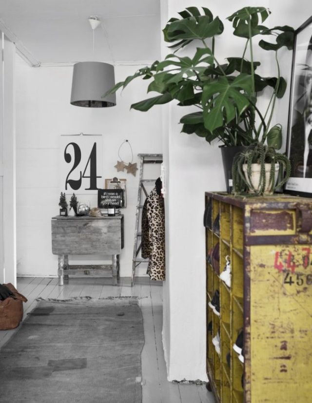 hallway with chipped yellow chest of drawers and monstera plant on top