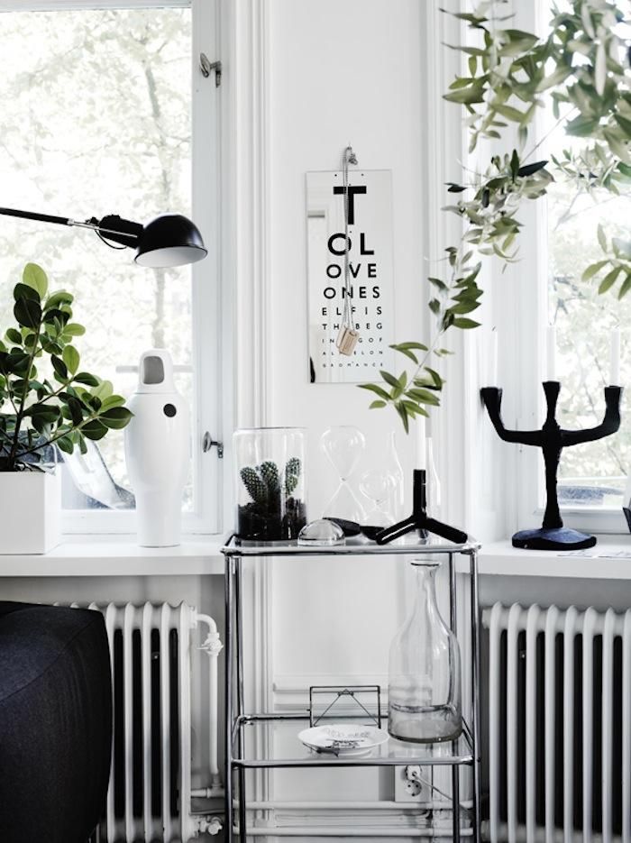 Room with 2 huge windows, white radiators and green plants