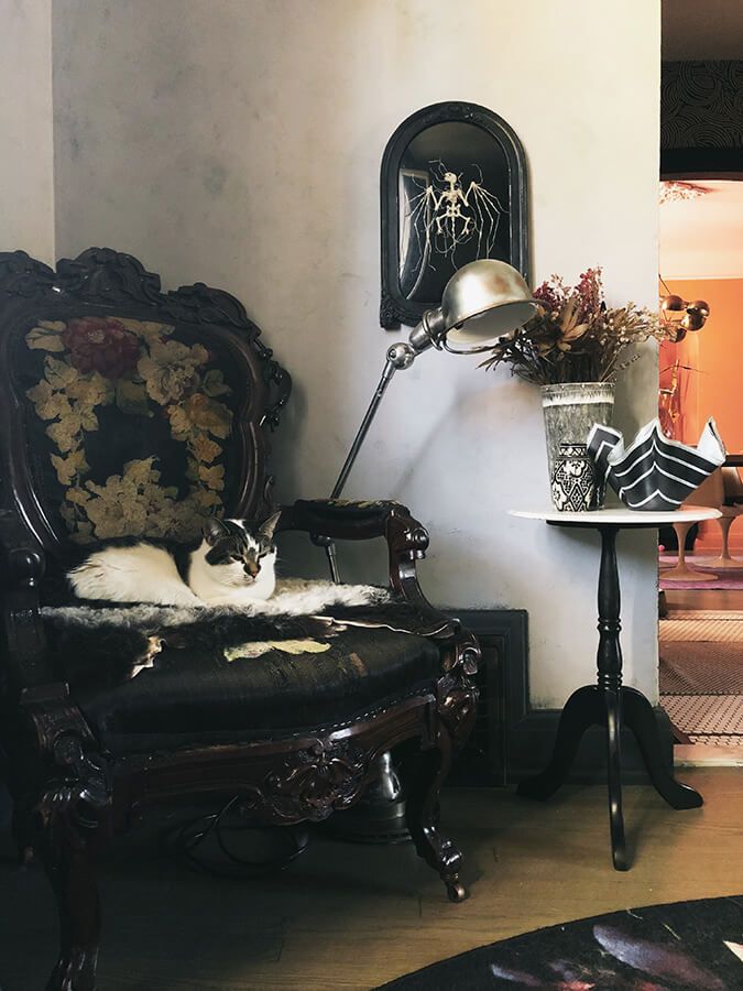 Corner nook with vintage upholstered chair, black and white cat on chair and silver reading lamp