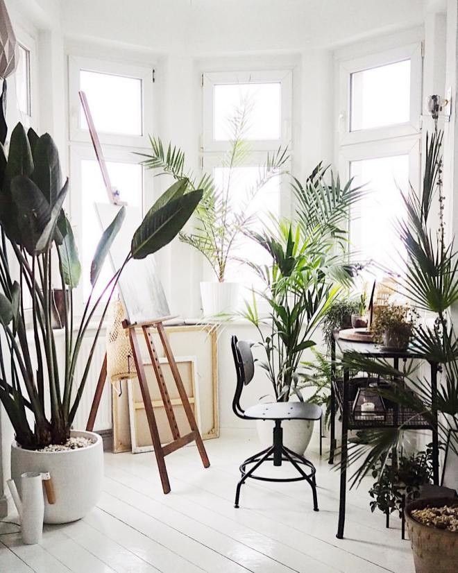 Bright and airy art studio corner brimming with a variety of lush indoor plants, white painted floors, and a classic adjustable drafting chair.