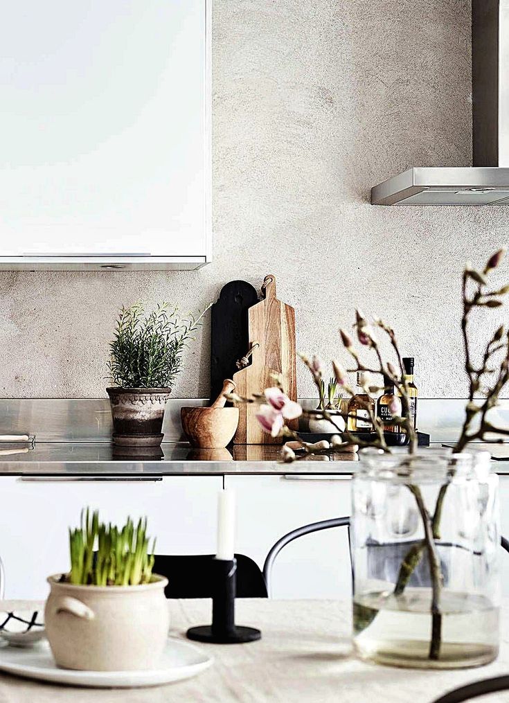 Minimalist kitchen counter with green plants and assorted decor.