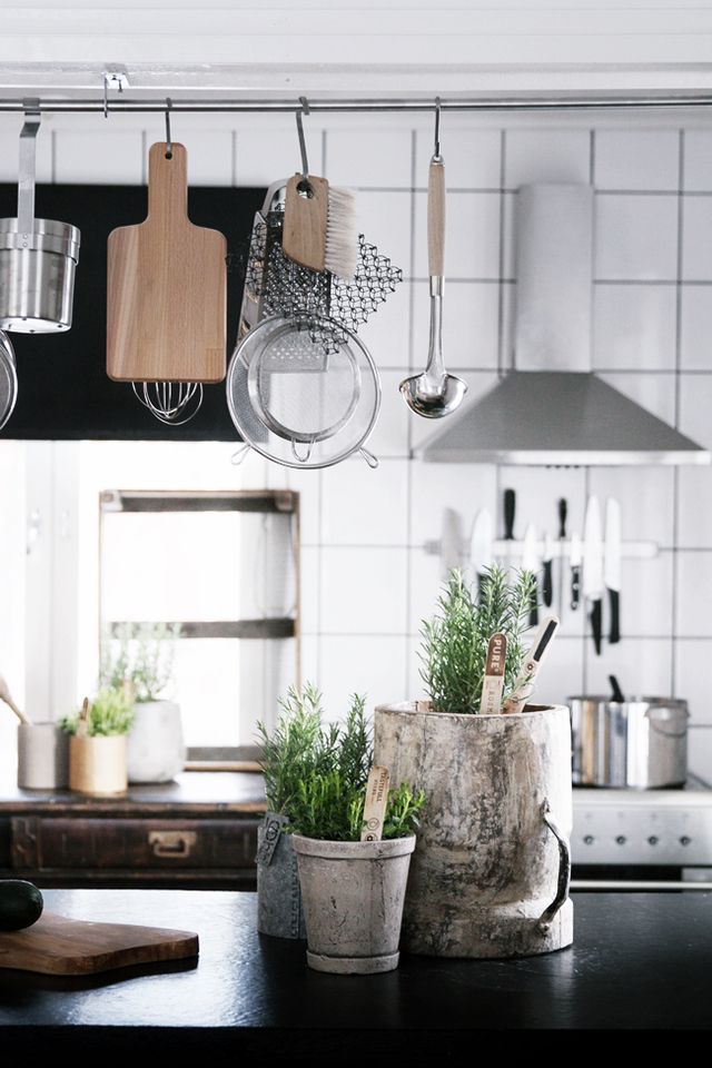 White kitchen with silver hood and vases of greens