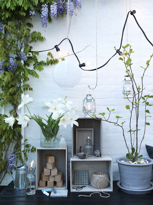 A tranquil outdoor space at twilight with hanging string lights creating a whimsical ambiance. Lush wisteria and green vines climb the white walls, contrasting with the dark wood floor. Varied-height wooden shelves display a collection of garden-themed decor, including a lantern, a ball of twine, and a metal watering can. A pot of delicate white flowers, a glass vase with blooming lilies, and mason jar lanterns add a fresh, botanical touch to the scene.