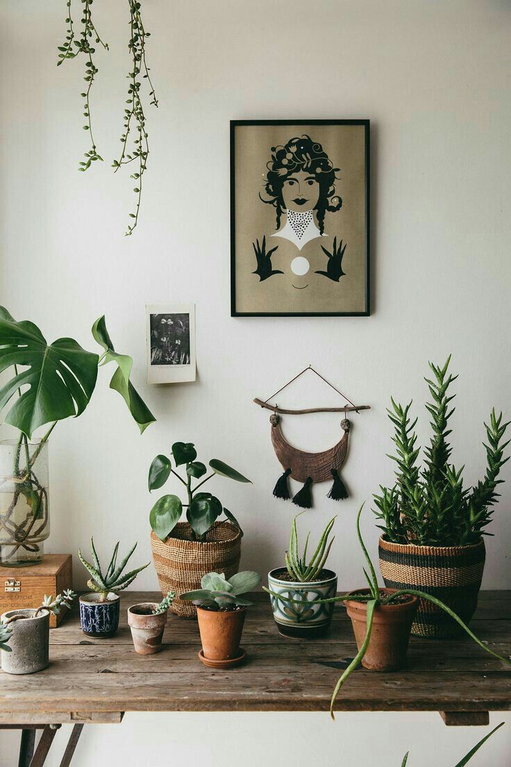 A rustic home decor setting featuring a variety of houseplants and a vintage portrait. The arrangement includes a large framed illustration of a stylized female figure, surrounded by small potted plants on a wooden table. Decorative elements such as a macramé wall hanging, hanging plants, and wicker baskets enhance the boho-chic vibe.