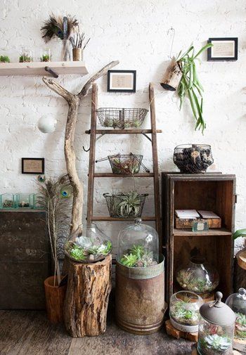 An eclectic boho interior featuring a rustic wooden ladder used as a shelf, surrounded by a variety of plants and terrariums. The space includes wooden crates, old books, and glass jars, creating a unique and earthy display against a white brick wall. This setting epitomizes a vintage bohemian style with its use of natural materials and greenery.