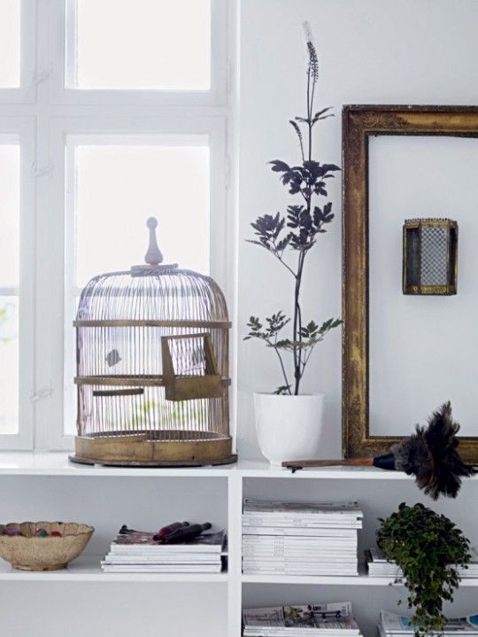 A minimalist room with a large window, featuring a vintage birdcage and a potted plant on a white shelf. The shelf also holds neatly organized magazines and books. A rustic empty picture frame hangs on the wall, adding to the eclectic decor.