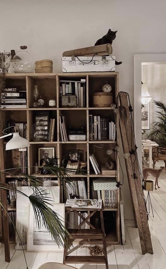A cozy and eclectic living space featuring a large wooden shelving unit filled with books, vintage items, and decor pieces. A black cat sits atop a suitcase placed on the highest shelf. The unit includes a variety of objects, such as framed photographs, candles, jars, and a vintage camera. A wooden ladder leans against the shelf, adding to the rustic charm of the room.