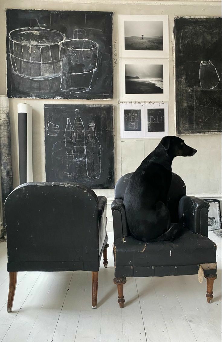 An art studio with a black dog sitting on a pair of worn, black armchairs. The background features several large black and white sketches of bottles and other objects, creating a creative and slightly eclectic atmosphere.
