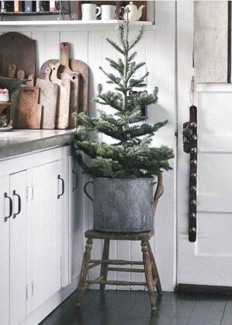A small Christmas tree in a galvanized pot placed on a wooden chair in a white rustic kitchen with wooden cutting boards as decor.