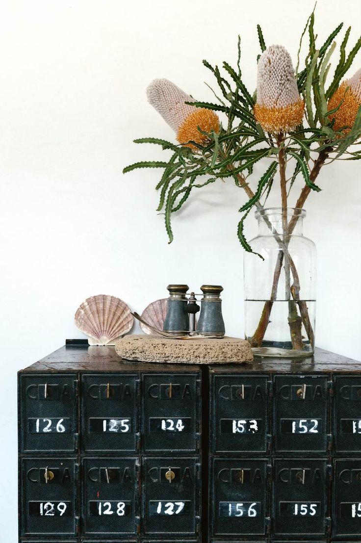 Industrial metal storage unit with numbered drawers, decorated with seashells, vintage binoculars, and a clear glass vase holding unique, textured flowers with spiky leaves. The display has a natural and rustic feel against a plain white wall.