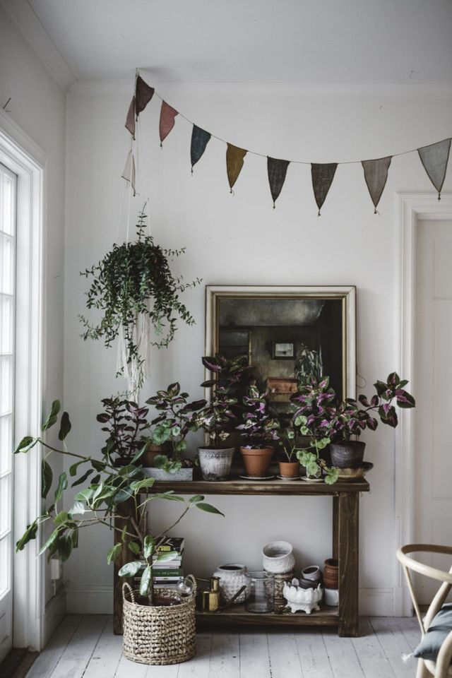 A cozy indoor garden arrangement in a corner with white walls and wooden floors. A rustic shelf overflows with potted plants, some with deep purple undersides, while a trailing plant hangs in a macrame holder. A framed artwork and a fabric banner add to the bohemian feel.