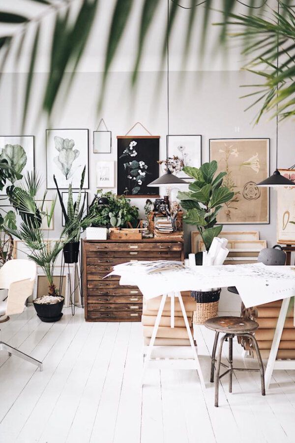 Whitewashed living room corner with a tall fiddle leaf fig in a neutral planter, layered rugs, and soft natural light creating a serene, minimalist vibe.