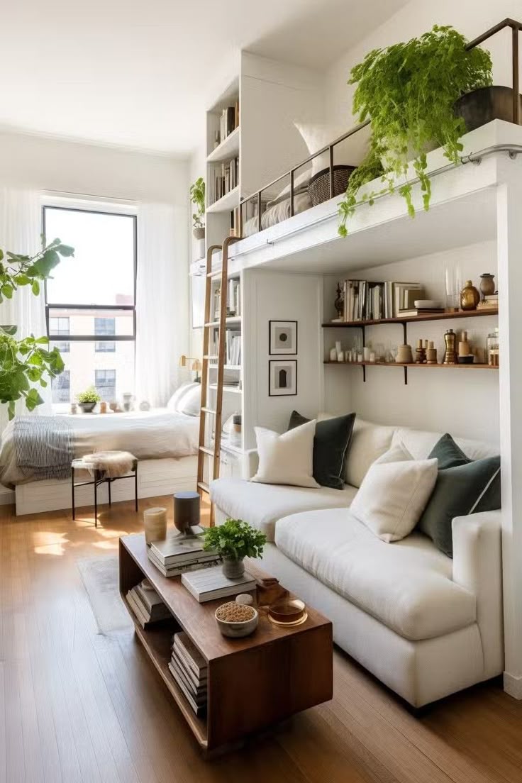 A stylish studio apartment with a couch below a loft bed, a ladder, and built-in shelving with books and plants.