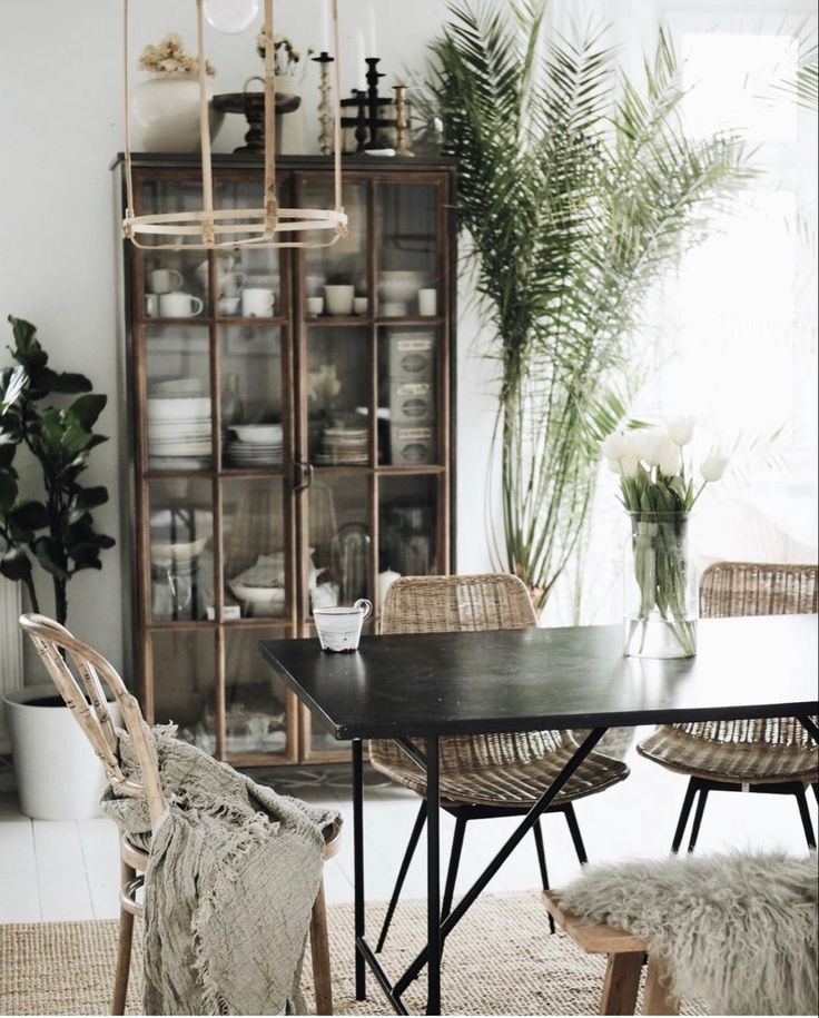 A bright dining space featuring a black table with woven rattan chairs, a glass cabinet, and a large potted palm plant by the window.