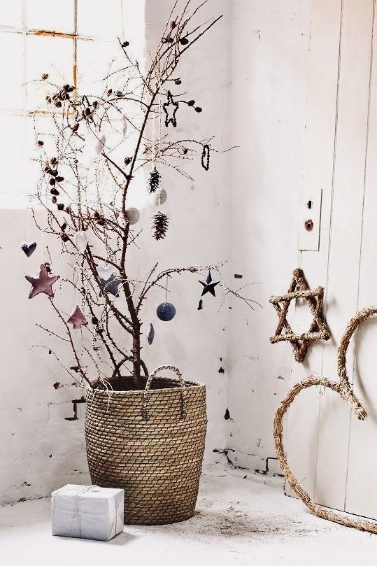 A large, sculptural dried branch with prominent twists, secured in a simple ceramic pot and lightly wrapped with delicate warm white fairy lights.